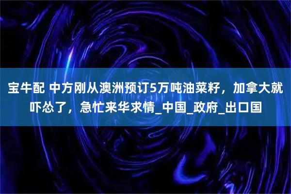 宝牛配 中方刚从澳洲预订5万吨油菜籽，加拿大就吓怂了，急忙来华求情_中国_政府_出口国