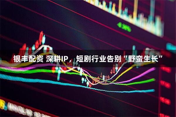 银丰配资 深耕IP，短剧行业告别“野蛮生长”