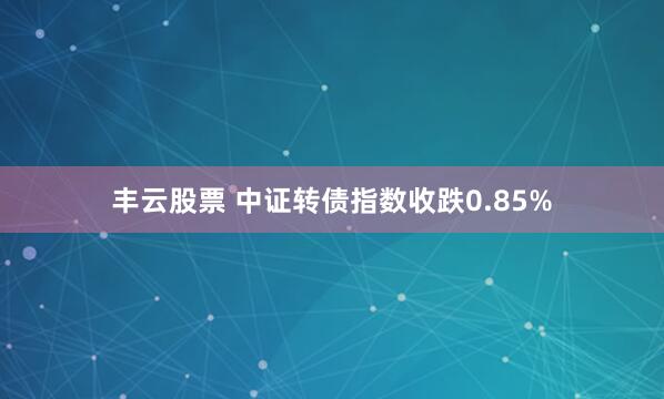 丰云股票 中证转债指数收跌0.85%